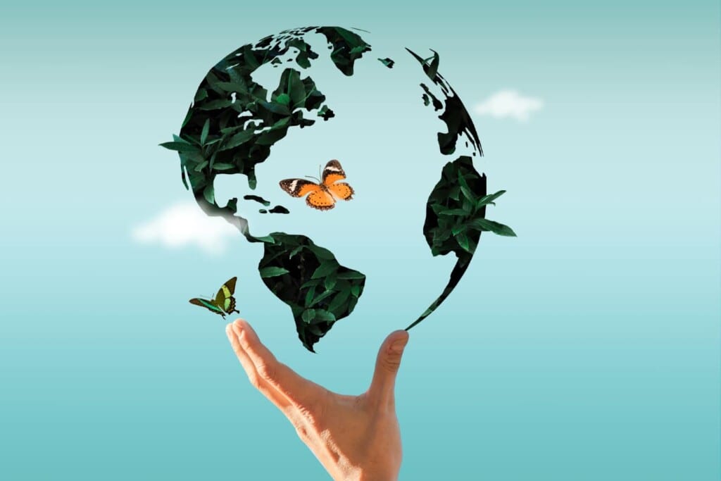 Unidos por un Futuro Verde, nuestra Misión como Fundación